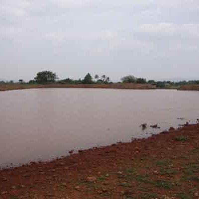 SAWED Watershed Development Project