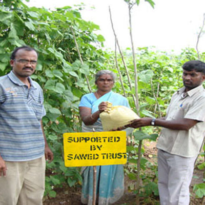 SAWED Women Farmer Empowerment Project